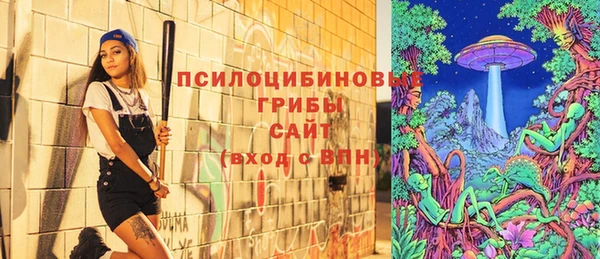 сатива Абинск