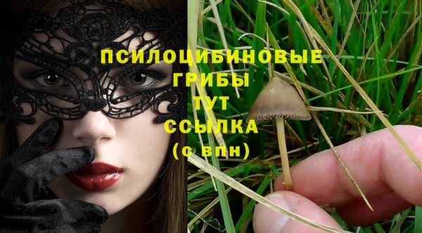 мяу мяу мука Абдулино