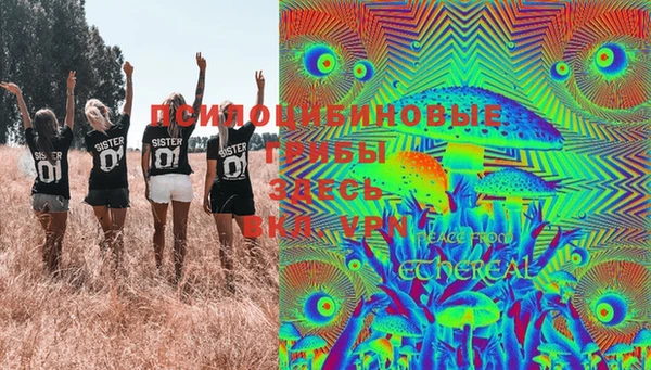 мяу мяу мука Абдулино